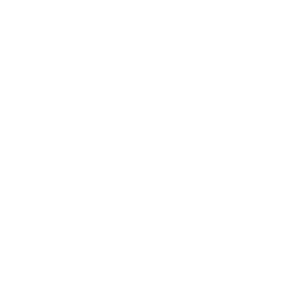 FightFlow Logo